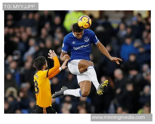 英超狼队与埃弗顿激战成平比分揭晓精彩瞬间回顾